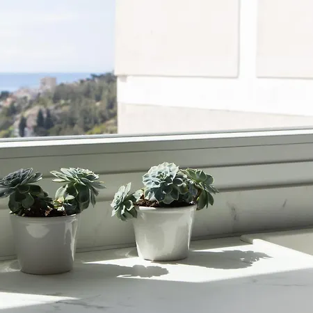 Nayra View & Appartement